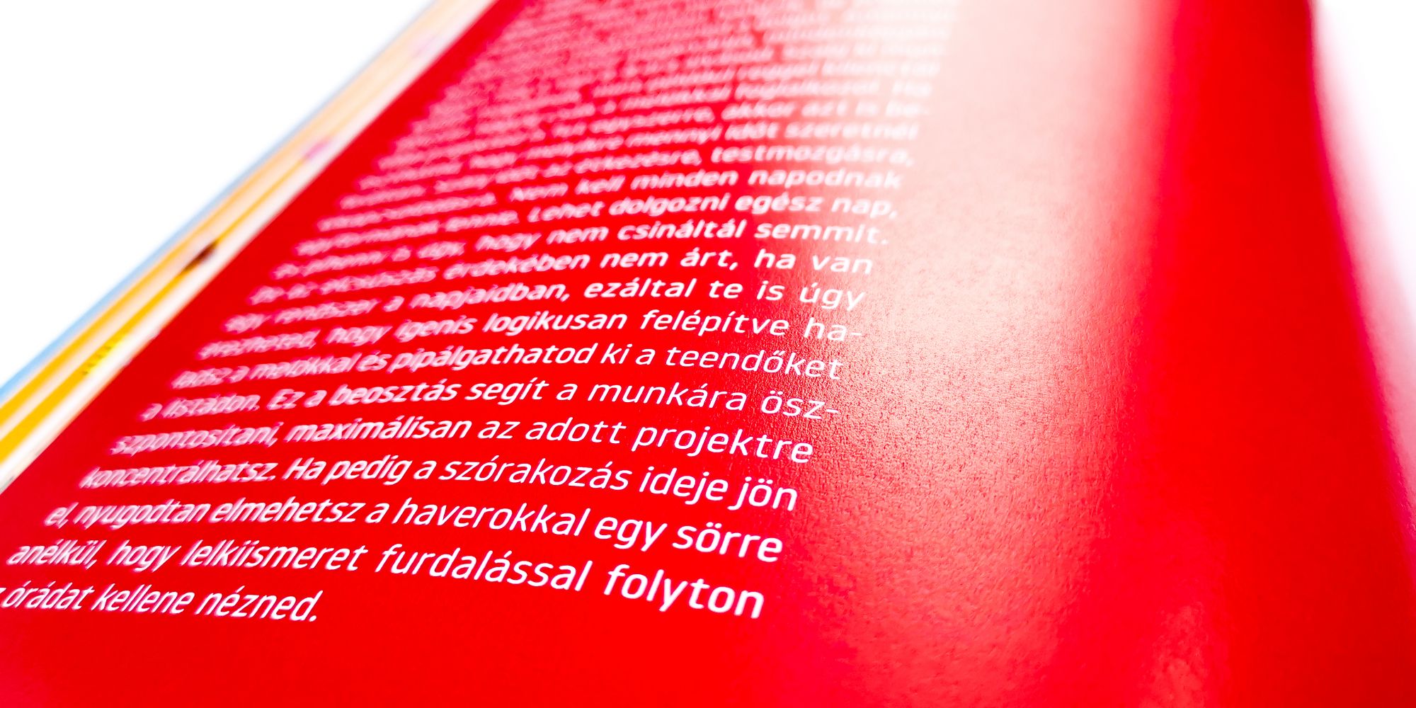 Eszter Urbanovics :: Amaphuti – Hand book for entrant graphic designers
