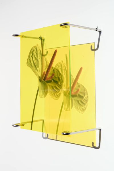 Esterházy Art Award döntő