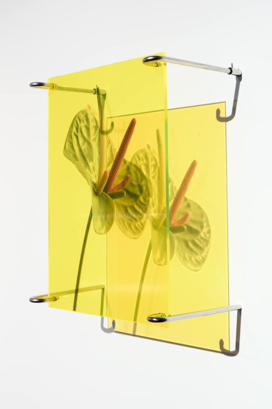 Esterházy Art Award döntő